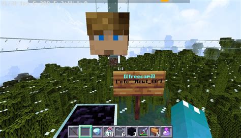 Freecam Resource Pack Java 的图像结果