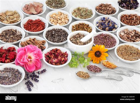 Herb Medicine 的图像结果