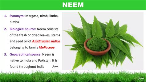 Pharmacognosy of traditional drugs in India | PDF