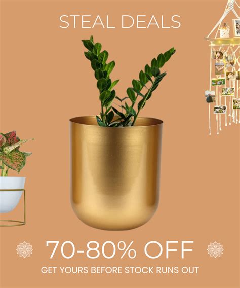 Ecofynd - Online Garden Store | Home Decor Products