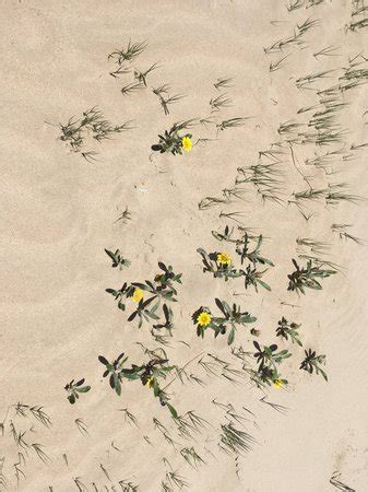 SUNDAYS RIVER BOAT CRUISES (Colchester) - What to Know Before You Go