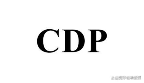 CDP Languages 的图像结果