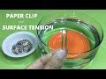 Image result for Paper Clip Experiment