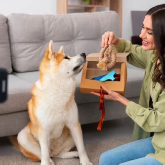 https://www.breednbreeder.com/