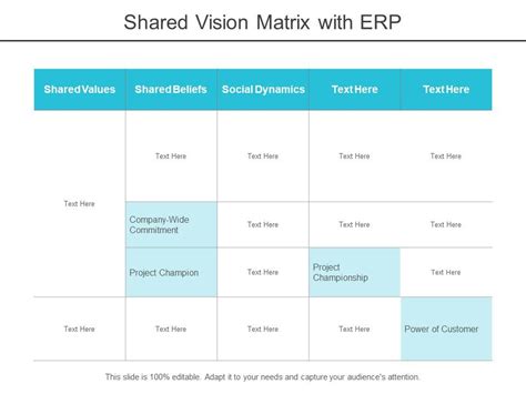 Image result for Matrix Table in Vision Example