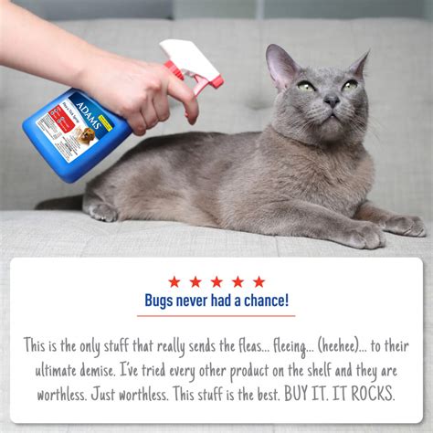 Adams Flea & Tick Spray | Adams™