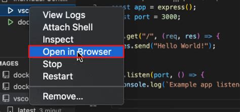 Docker Tutorial VSCode 的图像结果