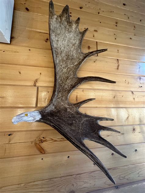 Moose Antler Carving (soaring Eagle Wall Mount) Hand Carved, Artist ...