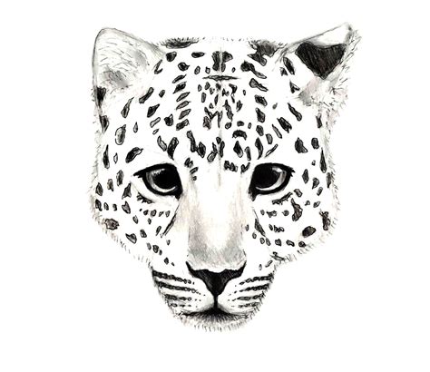 Snow Leopard Painting at PaintingValley.com | Explore collection of ...