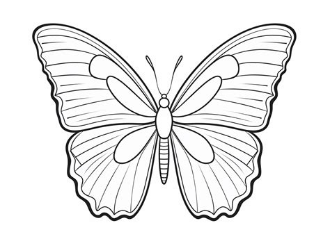 Butterfly Coloring Pages For Adults - Coloring Page