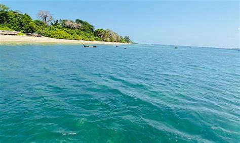 Wasini Island Tourism (2023): Best of Wasini Island - Tripadvisor