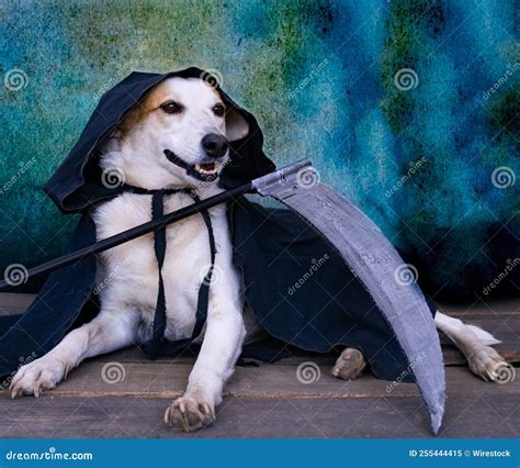 Personification Of Fear In Greek Mythology God Phobos. He Is The Son Of ...