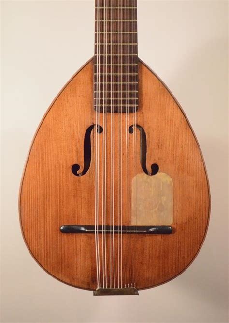 Image result for Plucked String Instrument
