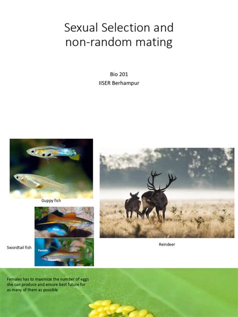 Image result for Dashboard User Guide Example