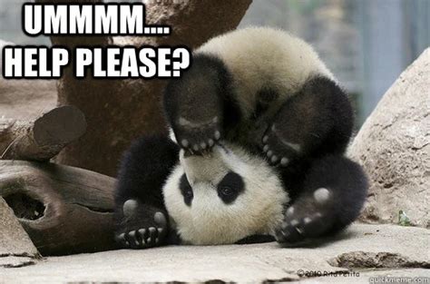 Image result for Help Us Out Meme