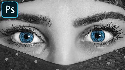 Image result for Color Splash Photography