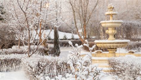 Winterize Outdoor Décor | Suburban Lawn & Garden