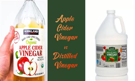 Apple Cider Vinegar Vs Distilled Vinegar: The Ultimate Verdict - The ...
