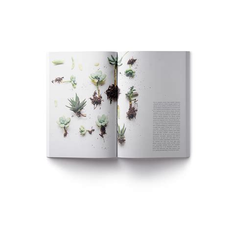 InDesign 的图像结果