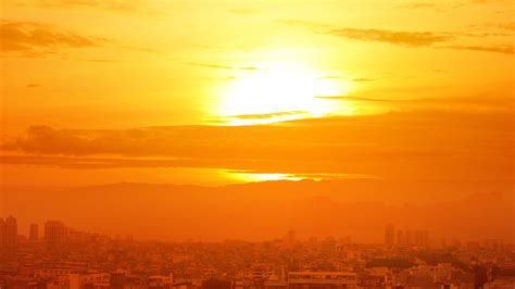 'Citizens Can't Be Treated As Cattle': Rajasthan HC Takes Suo Motu ...