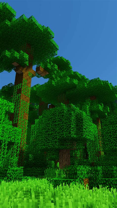 Image result for Minecraft Java Nether Update