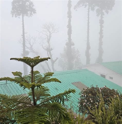 YULE TEA RETREAT (Mim Tea Garden) - Guesthouse Reviews, Photos, Rate ...