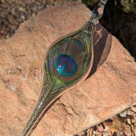 Buy Real Peacock Feather Online In India - Etsy India
