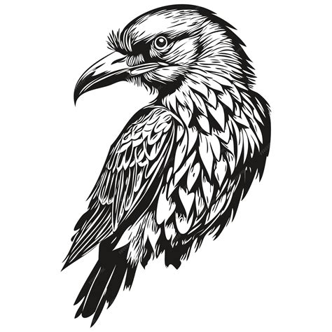 Raven Logo Schwarz-Weiß-Illustration Handzeichnung Corbie | Premium KI ...