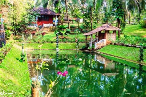 Thattekad Tourism (2024): All You Need to Know Before You Go