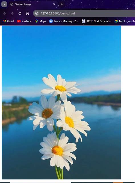 How to Put Image in JavaScript 的图像结果