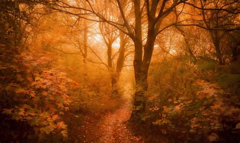 In Blackwater Woods by Mary Oliver : The Great Turning