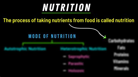 Class 10 Science Life Process 的图像结果
