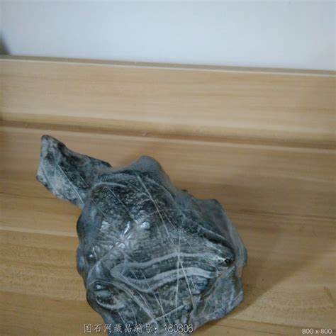奇石名称神龟背娃 - 石馆 - 国石网