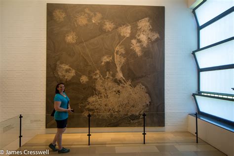 Image result for Germany GeoJSON Museum