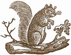 Free Printable Clipart by Free Fall Clip Primitive Squirrels The Graphics Free Printable Clipart