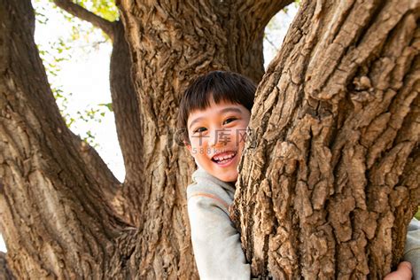 趴在树上的快乐男孩高清摄影大图-千库网
