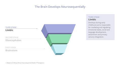 Beaconhouse Neurosequential Model 的图像结果
