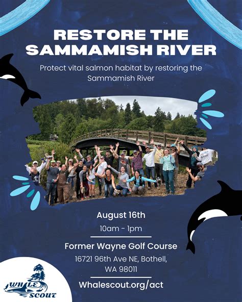 August 16th Volunteer Event - Whale Scout