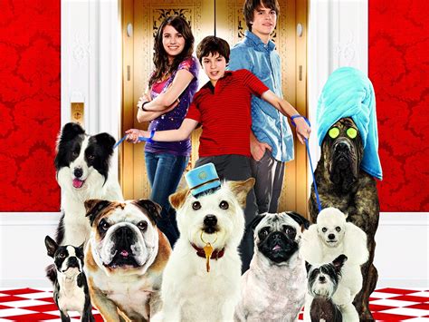 Johnny Simmons Hotel For Dogs