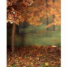 Backdrop For Photos by Autumn Forest Printed Backdrop Backdrop Express Backdrop For Photos