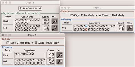Virtual Lab Genetics 的图像结果
