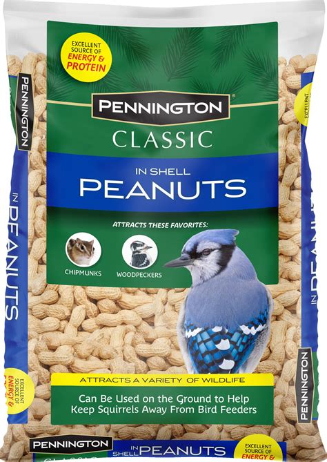 What Birds Eat Unshelled Peanuts: A Complete Guide