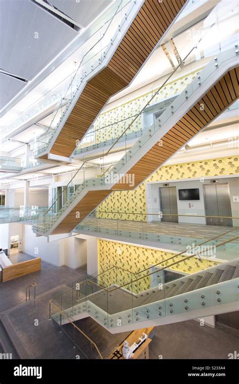 Image result for Building Atrium