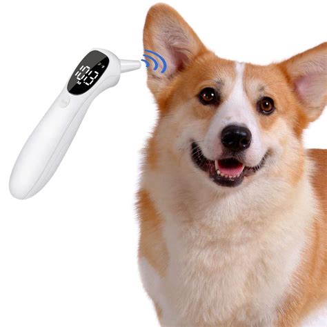 No Beep Voice Version] Cat and Dog Ear Temperature India | Ubuy