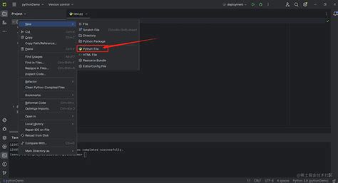 Install Def Python 的图像结果