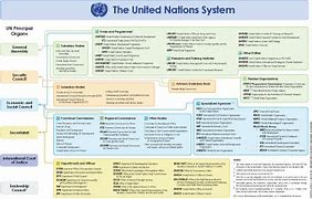 Image result for United Nations Structure Diagram