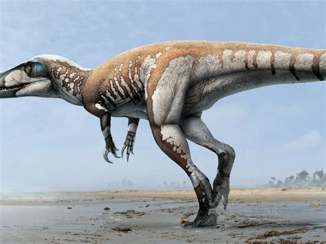 Megaraptor Size