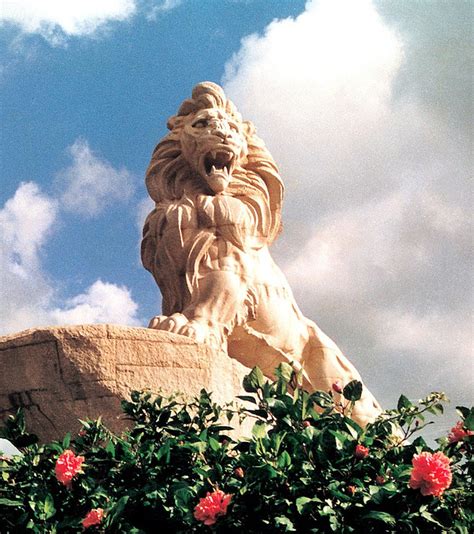 泉州石狮——乐园玩奇幻茂险，古城品狮情画-泉州旅游攻略-游记-去哪儿攻略