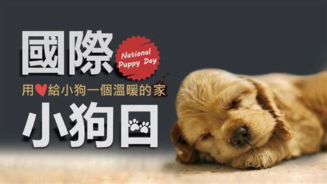 國際小狗日National Puppy Day - 空中美語部落格