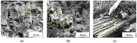 Surface Modification of Carbon Fibers by Low-Temperature Plasma with ...